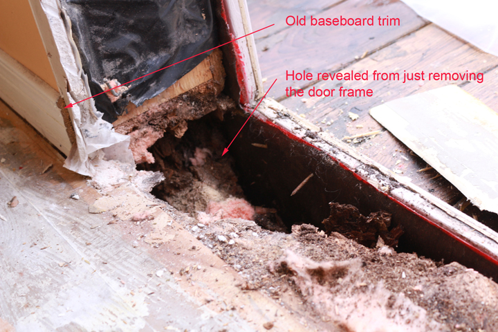 Damage is quite significant: need to expose more